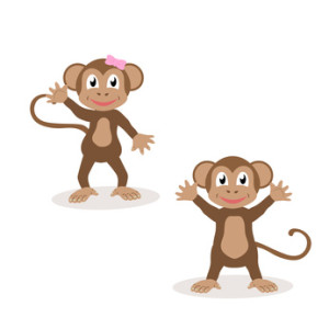Set of isolated friendly monkeys. The symbol of the year 2016.